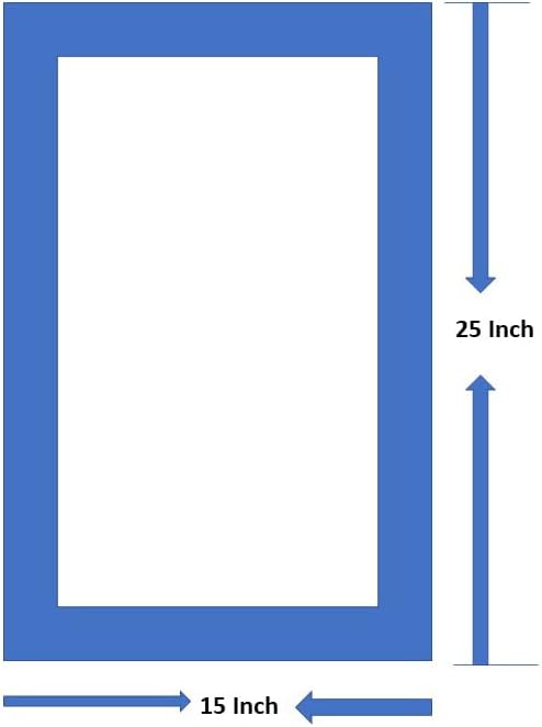 Pretty Sure I've seized The Wrong Day. Two Pcs 100% Cotton Saying Flour Sack Kitchen Towels, Size: 15 x 25 Inch.