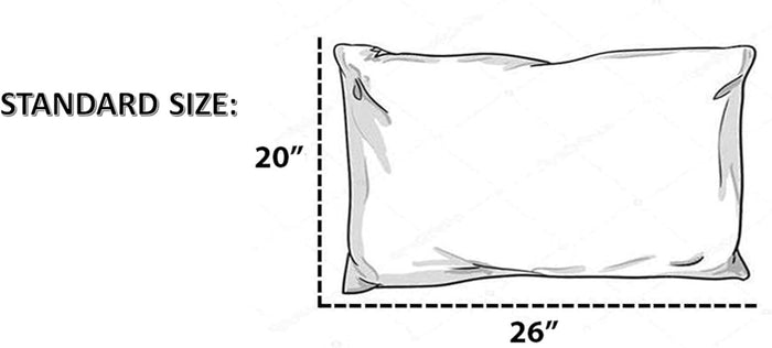 Set of 2 Terry Cotton and Polyester Laminated Allergy Control Zipper Pillow Protector Pillow Encasement. Queen: 20 x 26 Inches.